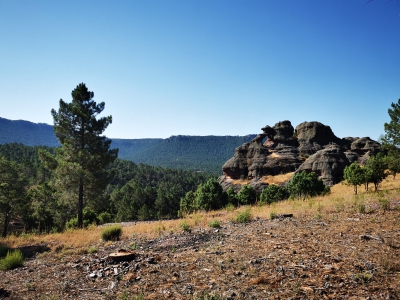 Ceñajo del Arte. Boniches__