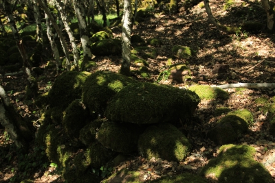 Los Casares. Valdemoro de la Sierra_ Los Casares. Valdemoro de la Sierra_