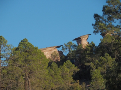Corbeteras. Pajaroncillo