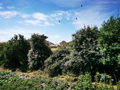 Zafrilla__ Zafrilla__