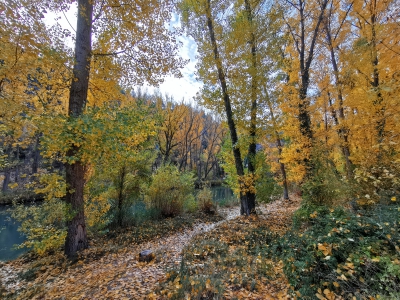 Otoño. Cuenca__