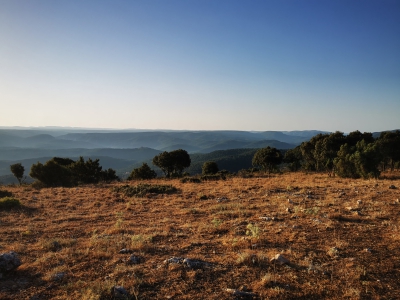 El Pozuelo. Panoramica__