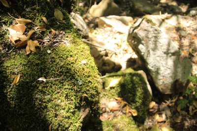 Los Casares. Valdemoro de la Sierra_ Los Casares. Valdemoro de la Sierra_