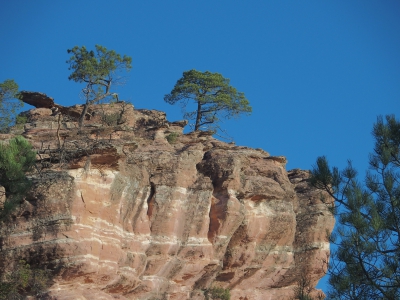 Corbeteras. Pajaroncillo