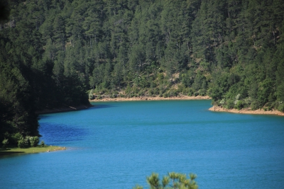 Embalse de la Toba. Uña_