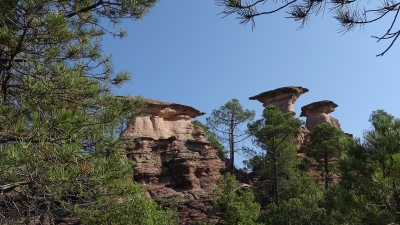 Corbeteras. Pajaroncillo