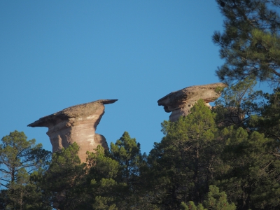 Corbeteras. Pajaroncillo