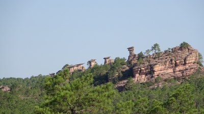 Miradores. Corbeteras. Pajaroncillo