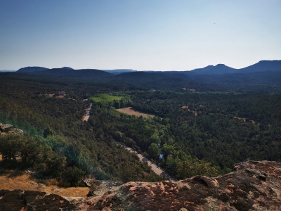 Miradores. Corbeteras. Pajaroncillo__