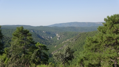 Entre Herreria y Carrascosa. Vista Panoramica