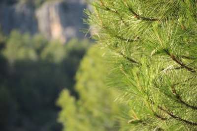 Ruta Turistica. Cuenca_