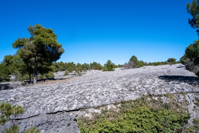 Ciudad Encantada. Cuenca.-