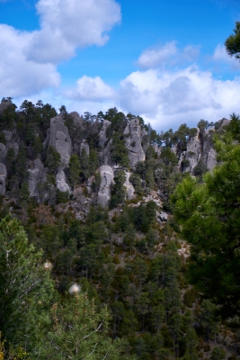 Cuenca Arroyo Frio
