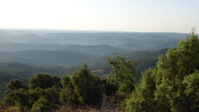 El Pozuelo. Panoramica_