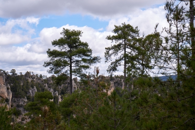 Estrecho de Arroyo Frio. Cuenca