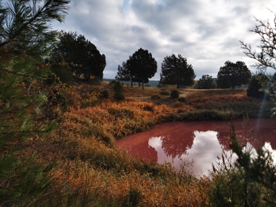 Lagunas de Cañada__