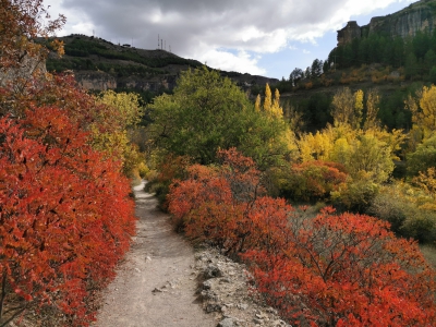 Otoño. Cuenca__