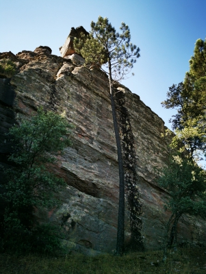 Miradores. Corbeteras. Pajaroncillo__