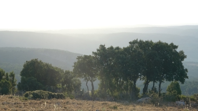 El Pozuelo. Panoramica_