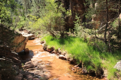 Pozo Batanero. Valdemoro de la Sierra_