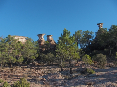 Corbeteras. Pajaroncillo