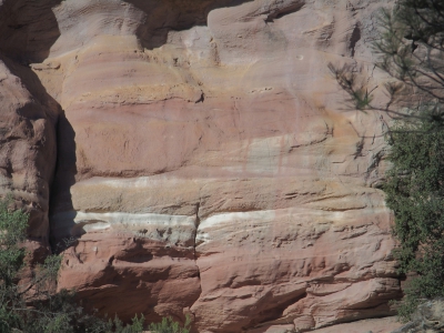 Corbeteras. Pajaroncillo