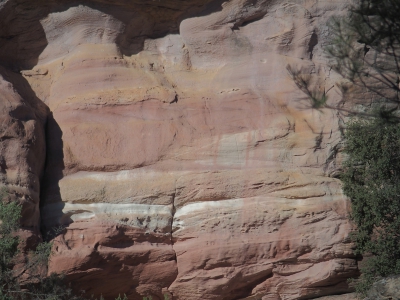 Corbeteras. Pajaroncillo