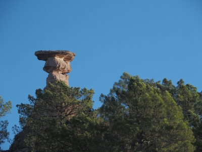 Corbeteras. Pajaroncillo