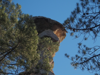 Corbeteras. Pajaroncillo