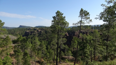 Ceñajo del Arte. Boniches