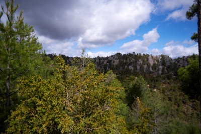Estrecho de Arroyo Frio. Cuenca