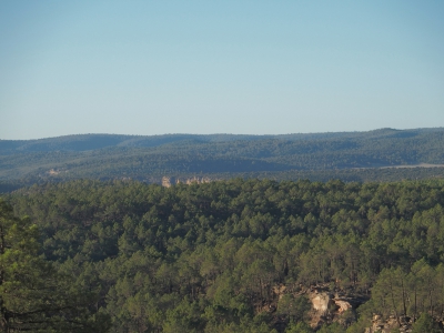 Corbeteras. Pajaroncillo