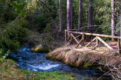 Nacimiento del Cuervo. Cuenca.-