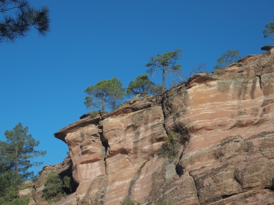 Corbeteras. Pajaroncillo