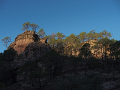 Corbeteras. Pajaroncillo