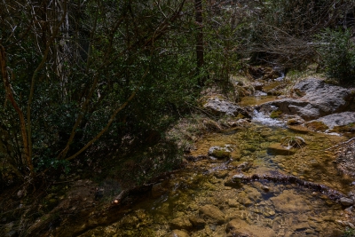 Estrecho de Arroyo Frio. Cuenca