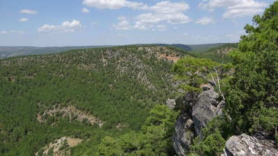 Mirador del Aguila. Carrascosa de la Sierra.