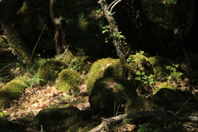 Valdemoro de la Sierra. Los Casares_
