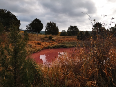 Lagunas de Cañada__
