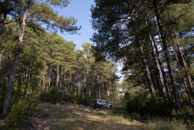 Mirador Sobre el Solan de Cabras. Santa Maria del Val-