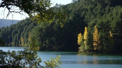 Embalse de Chincha. Puente de Vadillos