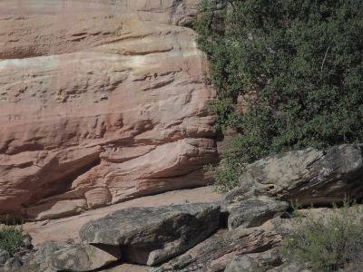 Corbeteras. Pajaroncillo