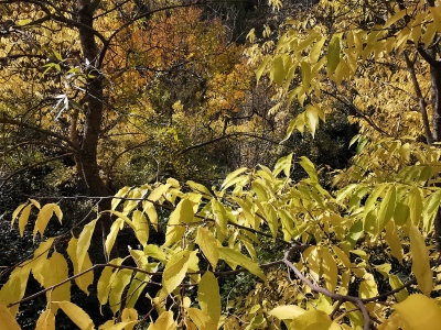 Otoño. Cuenca__