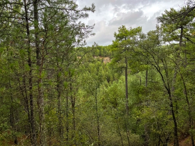 Las Torcas. Cuenca.- Las Torcas. Cuenca.-