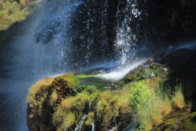 La Balsa. Valdemoro de la Sierra_