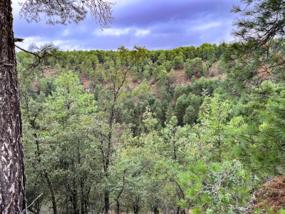 Las Torcas. Cuenca.- Las Torcas. Cuenca.-