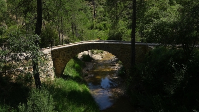 Lagunillos. Cuenca