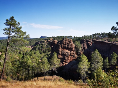 Ceñajo del Arte. Boniches__