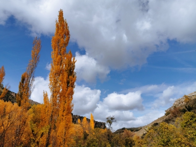 Otoño. Cuenca__