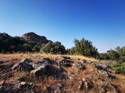 Miradores. Corbeteras. Pajaroncillo__